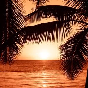 Meet your Posher, Devon